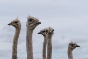ドライバーの飛距離が出ない理由とは？